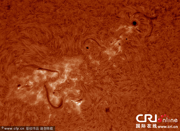 ����������ѧ�Ҳ�׽̫��������ӻ�Լ�̫��ҫ��