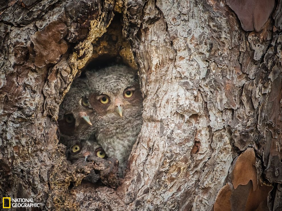 �������^ռ�������ϵ���ľ����