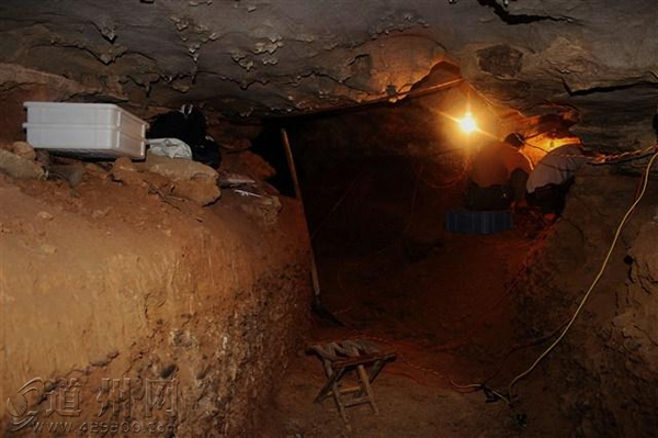 湖南省道县乐福堂乡福岩洞出土5枚古人类牙齿和大的哺乳动物化石