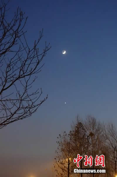 ���ǰ�������