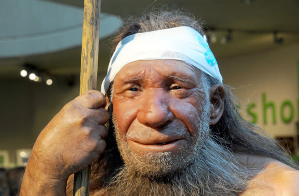 Neanderthal brains focused more on vision and movement, leaving less room for co