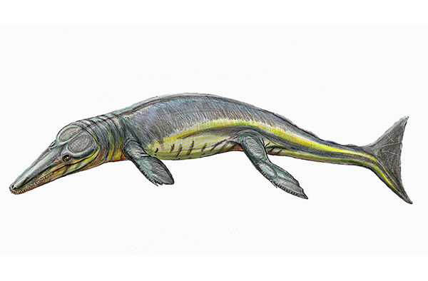 Tyrannoneustes lythrodectikos