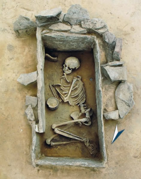 ŷ��ũҵ�Ĵ��������ڹ��ϹǼ����Ŵ���ǵ�Ƶ�ʱ仯��