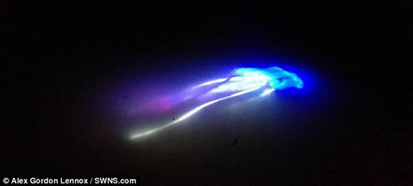 Ӣ������˹����ͷ�������ط�������