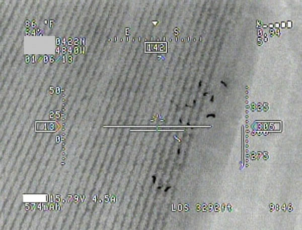 �������˽�ң�طɻ�6���²���300ͷҰ��