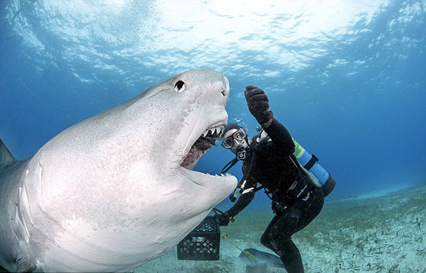 �͹���ǱˮԱͽ��ιʳ����