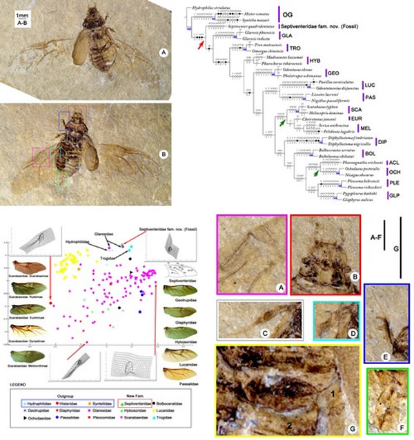 ����Ӽ׳��ݻ��о���ȡ���½�չ