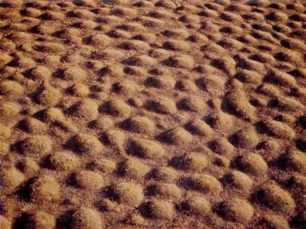 �����о��������ֵ����쳣���󲢷ǹŷأ������������ڼ������ʱ���ﴴ��ġ�