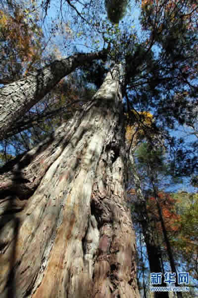 ����ɽһ������ߴ�2735��ġ���ɼ����