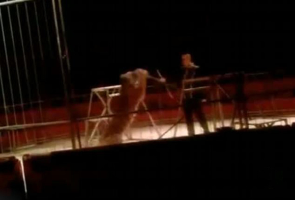 ������һ��Ϸ���ϻ�ͻȻ����ѱ��ʦ