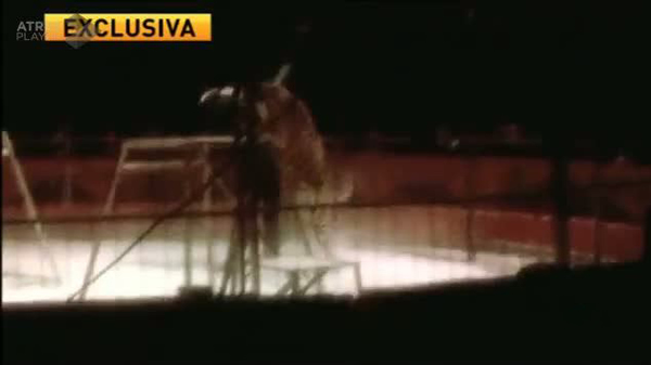 ������һ��Ϸ���ϻ�ͻȻ����ѱ��ʦ