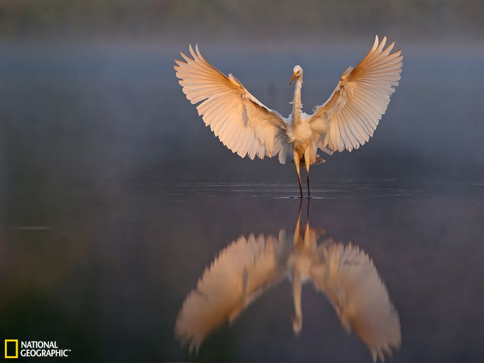 ����������