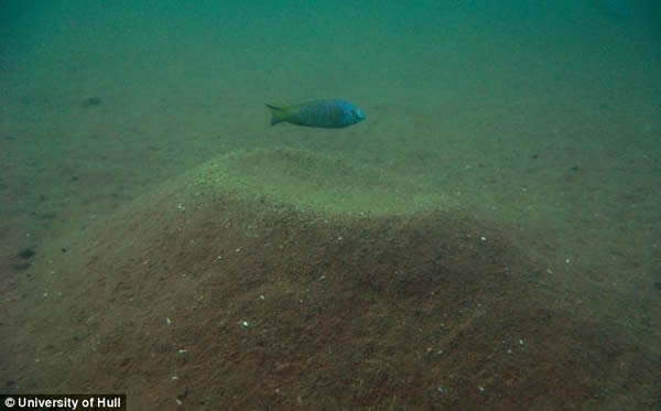 ĳ���������ཨ��ɳ����ȡ�����Բ����澺������