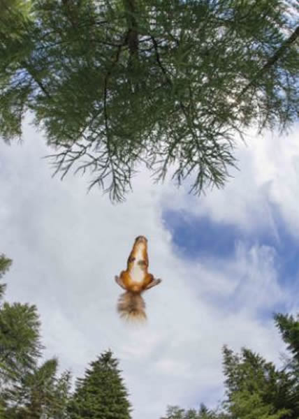 �������ڽ�21�׸ߵ������Ͻ�����Ծ