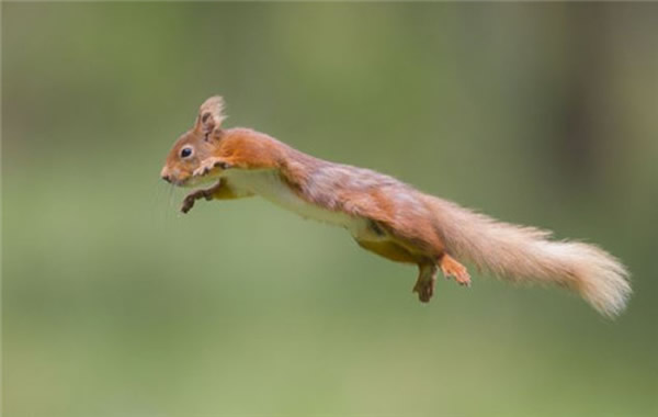 ��ֻ�������峤��Լ45����