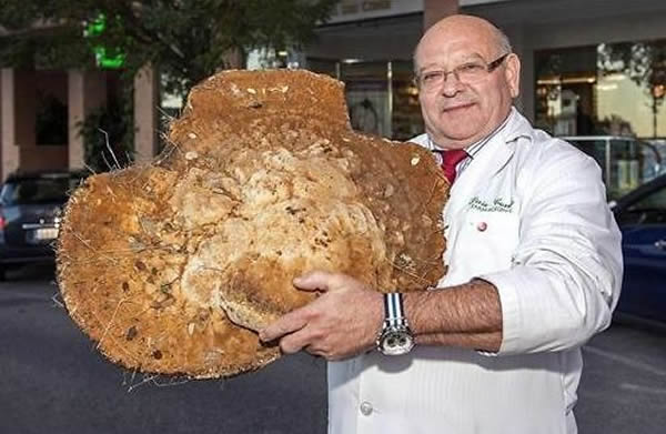 ������ҩʦ����12�����ؾ޴�Ģ��