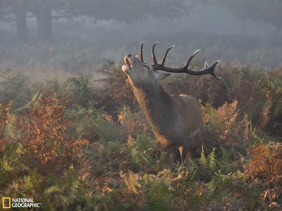 ����ŷ����¹