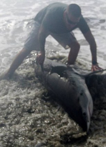 �û������������3�״����