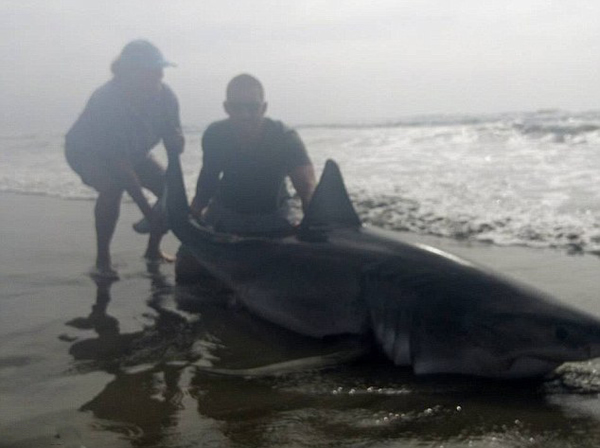 �û������������3�״����