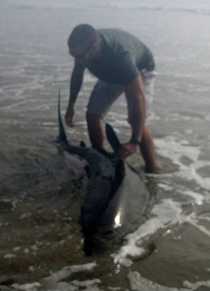 �û������������3�״����