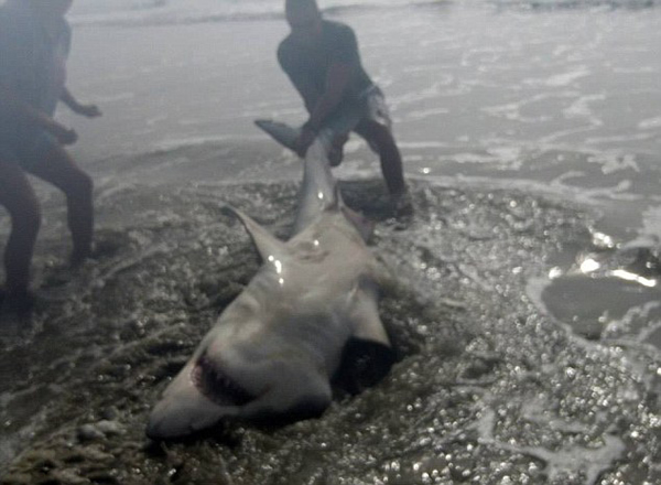 �û������������3�״����