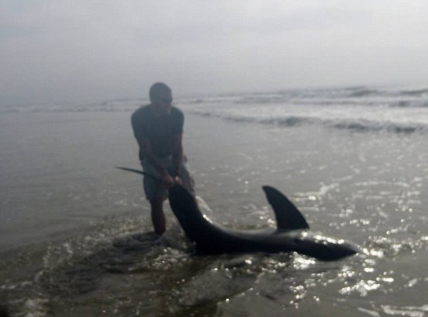 �û������������3�״����