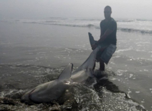 �û������������3�״����