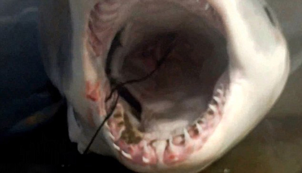 �û������������3�״����