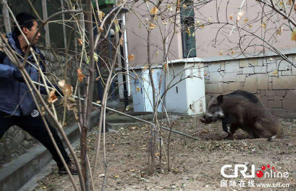 Ұ����������������������ɽׯ��8���Ʒ�