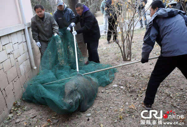 Ұ����������������������ɽׯ��8���Ʒ�