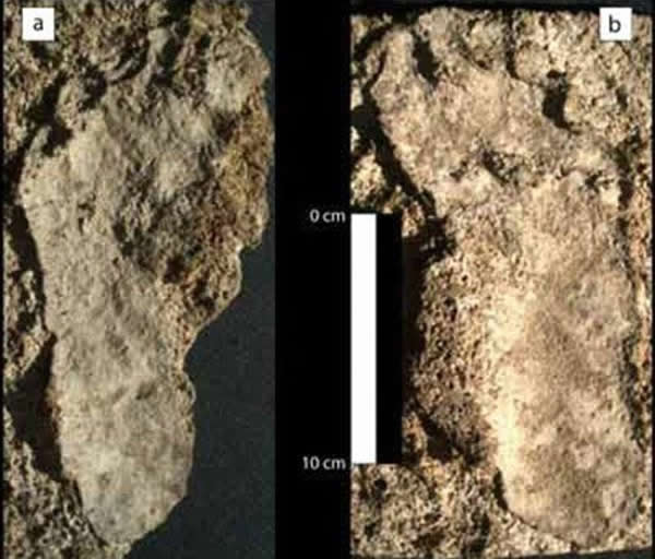 墨西哥发现北美最古老人类足印化石