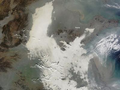 人类的祖先究竟是谁? - 神秘的地球 科学|自然|地