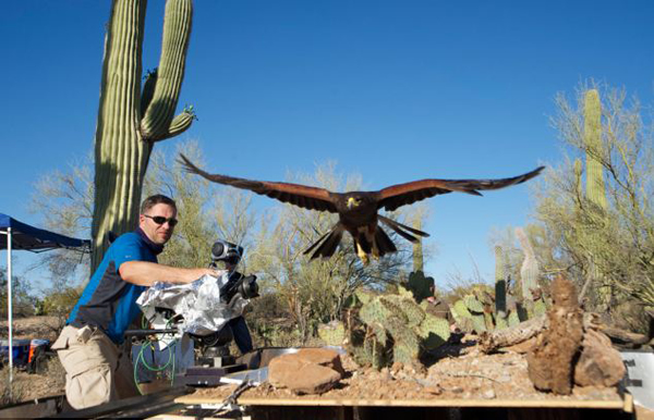 Ӣ��BBC��Ȼ��Ŀ�����ص����������������