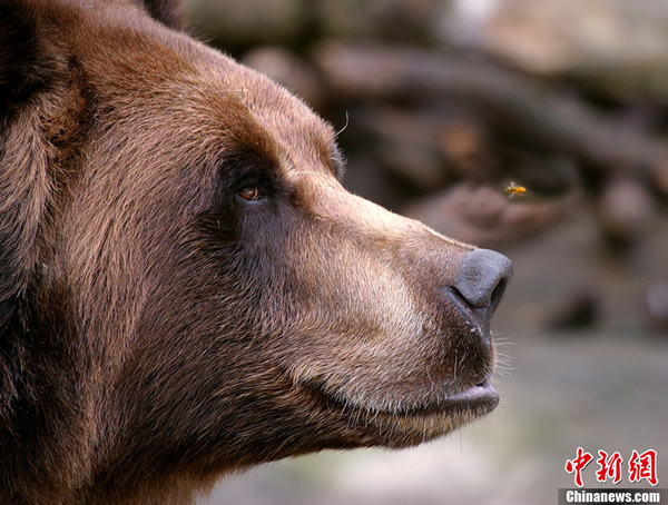 ��������սС�۷�