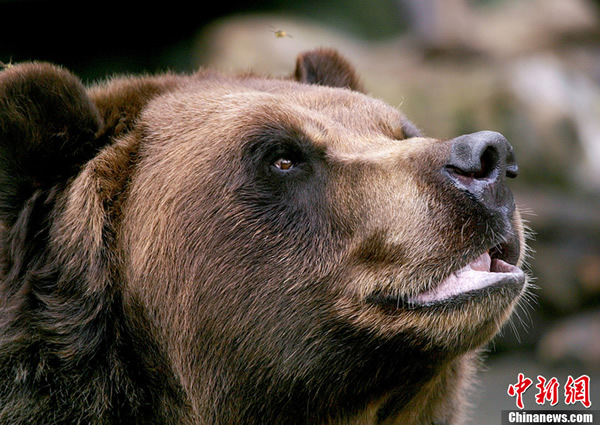 ��������սС�۷�