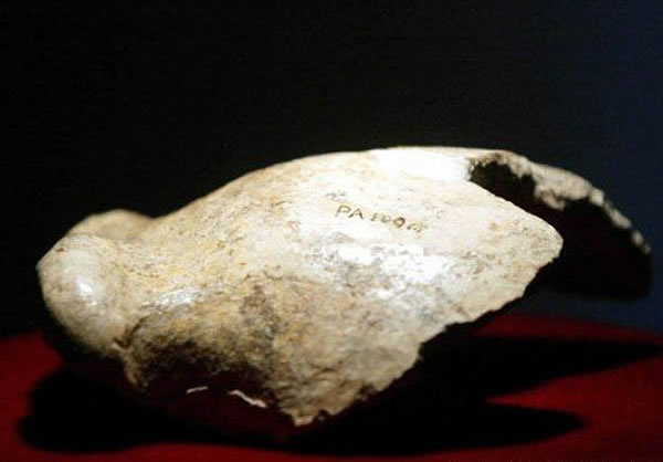 北京人头盖骨化石