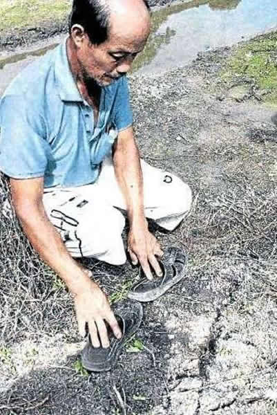 马来西亚传出大脚野人出没:菜园发现10多个巨人脚印