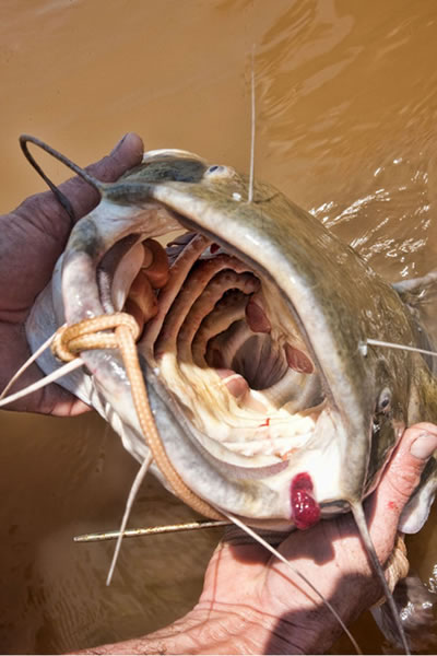 ��������ͽ��ץ����