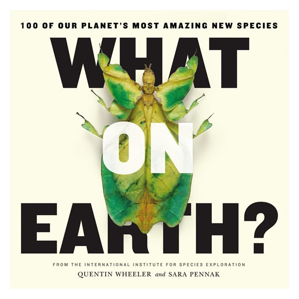 1.25亿年前迪拉丽花入选《地球新物种百杰》