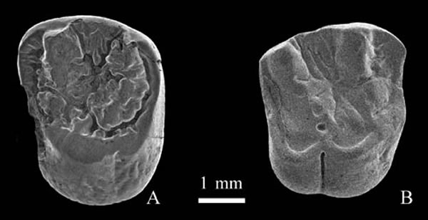 ׳ (δ) ϼճݹ棨繩ͼ