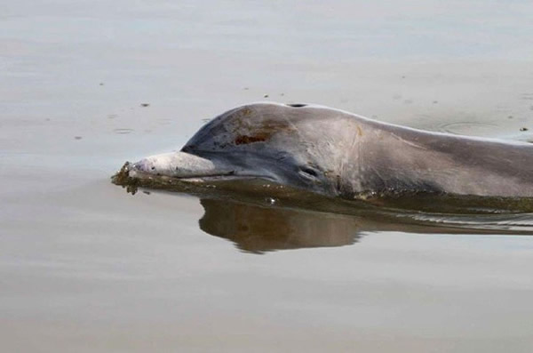 2010īԭй¶¹ʵҰǺ໼طβ