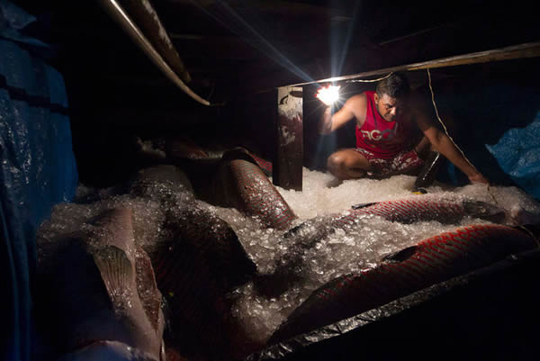 -ŵִһڲ鿴ڲ-̵ľ޻㡣Ϊ˱ʣشӻڴ׼