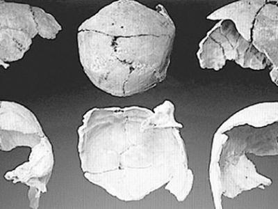科学家在云南昭通寻找亚洲早期人类起源缺环
