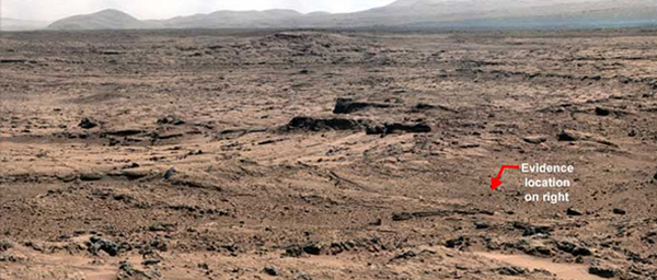 ���������桱�Ż��ǳ��ڻ����ĵ����������