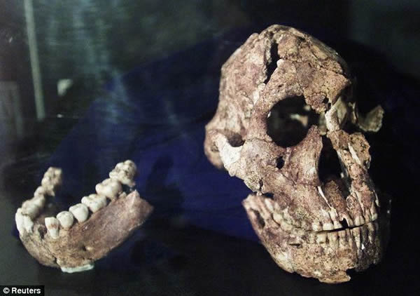 ���ϰ�����һ�ֳ��ٵĹ����������֣�������230����ǰ�״ν����ڶ��ǡ�