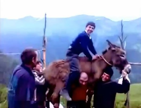 男子扛驴引起网友热议