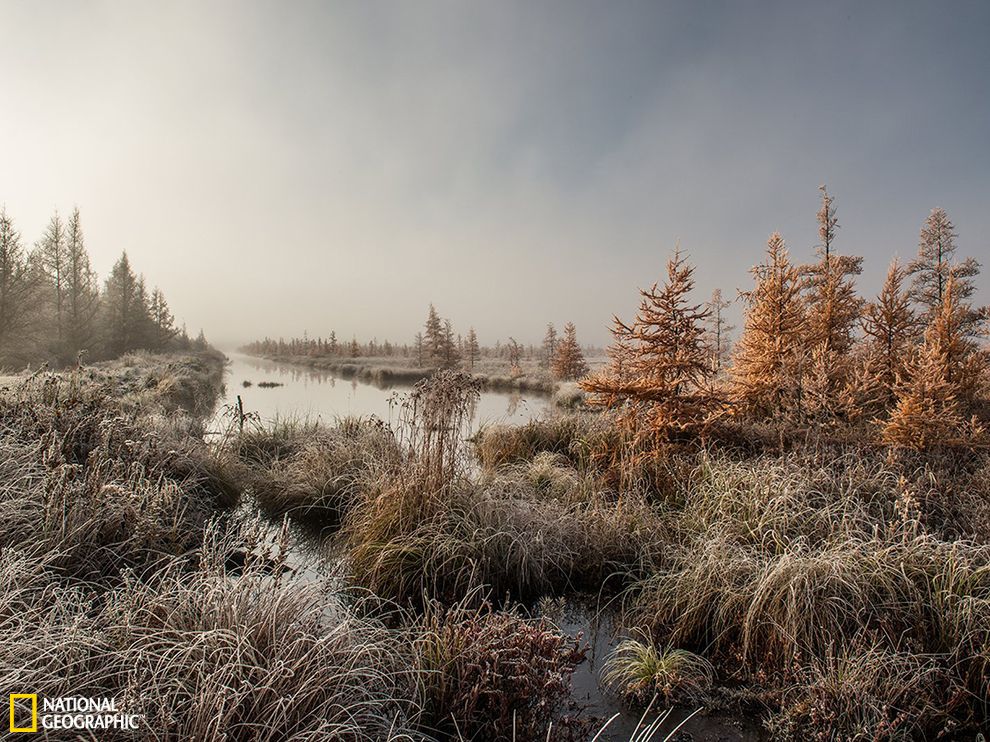 ������˹�����ݵ�������������