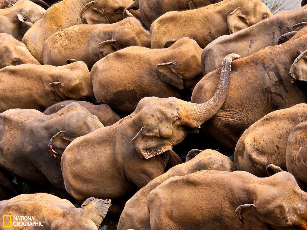 ˹�������Ĵ���¶�Ժ