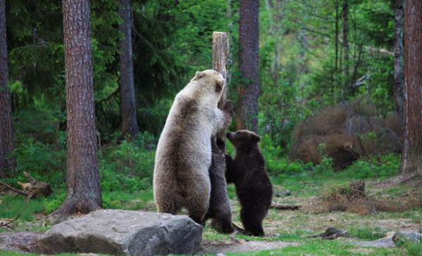 ���������հ���˹������������̱�������