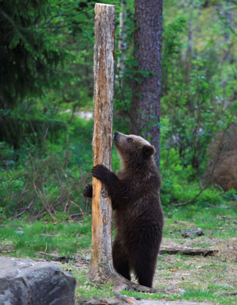 ���������հ���˹������������̱�������